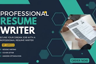 provide expert resume writing and optimization