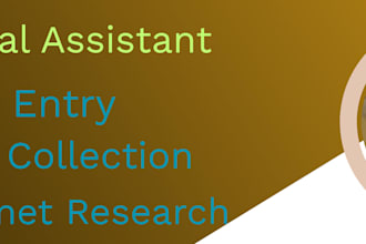 do data entry, data collection and internet research for you