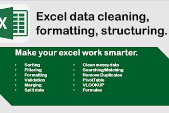 do excel data cleaning, formatting, and structuring