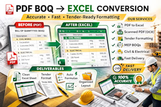 convert PDF boq or tender documents into a professional excel sheet in 24h