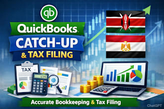 provide accurate quickbooks catch up and handle kenya and egypt tax