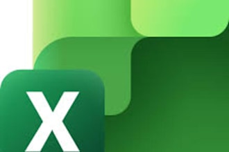 data cleaning and excel formatting