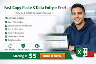 do your professional exel data entry and copy paste expert