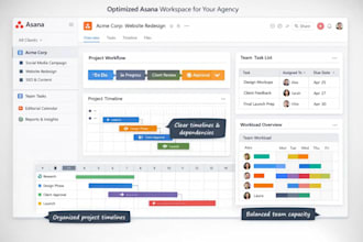clean up and optimize asana for agency project management