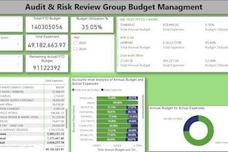 professional power bi expert