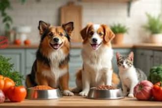 do food formulation and product development pet food and supplements formulation
