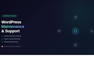 provide monthly wordpress maintenance and support