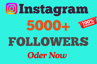3000 instagram followers as your need