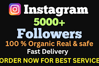 3000 instagram followers as your need