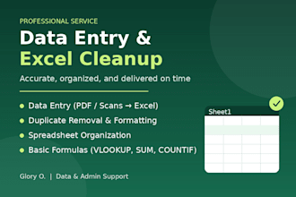 do accurate data entry and excel cleanup and formatting