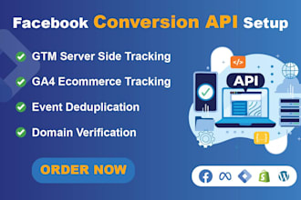 setup facebook conversion api with gtm server side tracking for you