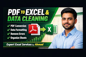 convert PDF to excel and do professional data cleaning as an excel expert