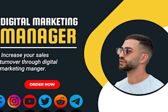 be your marketing manager for internet marketing and digital marketing manager