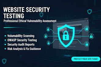 professional website security testing and pentesting