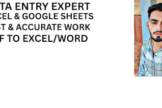 data entry and excel work