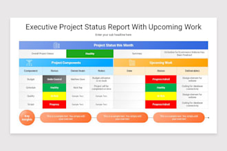 manage your complex IT or digital transformation project