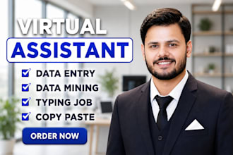 be your virtual assistant for data entry, data mining, copy paste, web research