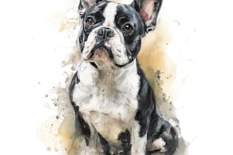 draw watercolor pet portrait your pets