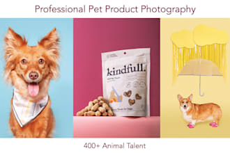 create professional pet product photography with dog models
