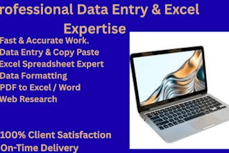 data entry copy paste and excel work accurately in 1 day