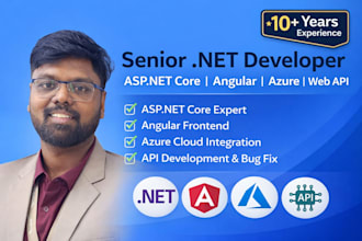 develop, fix or optimize web API, angular azure application