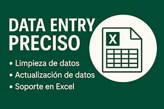 data entry and excel support