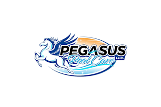 create creative good looking pegasus and pool service logo design