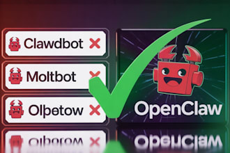 do open claw, open claw setup and safe installation