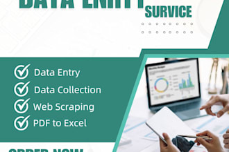 be your professional data entry and google sheets expert