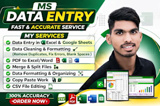 data entry, data cleaning and pdf to excel conversion