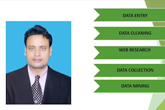 accurate data entry, excel data cleaning, PDF to excel and web research