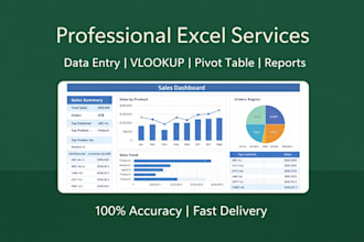 do excel data entry, vlookup , pivot table, data formatting