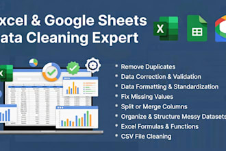 provide expert data cleaning and preprocessing services
