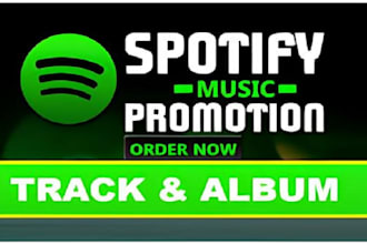 do music promotion spotify promotion spotify music