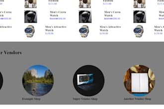 build a professional, responsive and SEO friendly website