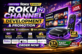 create and promote a professional roku TV channel