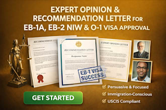 write expert opinion recommendation letter for eb1 visa eb2 niw