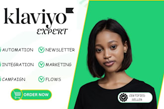 do klaviyo integration, klaviyo campaign and klaviyo flows as klaviyo expert
