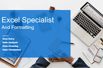 clean, format, data entry, pdf to excel, analysis excel data