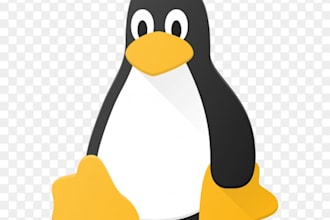 be your linux expert