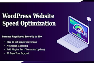 fix web core vitals, pagespeed optimization for wordpress