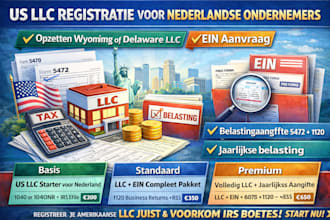 form US llc for netherlands ecommerce and file annual tax return