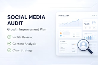 do a professional social media audit and strategy report