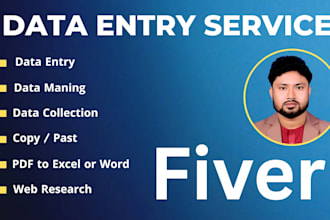 do data entry,ata input, data extraction, collection, data mining