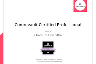 be your commvault architect for professional configuration and audits