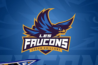 design a professional sports logo and brand identity for your team