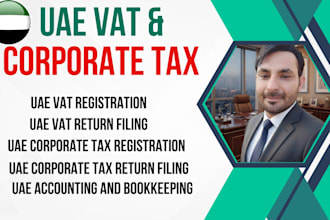 provide uae corporate tax, vat filling, bookkeeping services