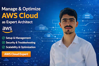 manage and optimize AWS cloud as expert architect