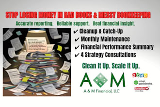do bookkeeping, cleanup financial, and cfo reports