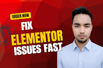do elementor fix, wordpress help, css fixes and troubleshooting